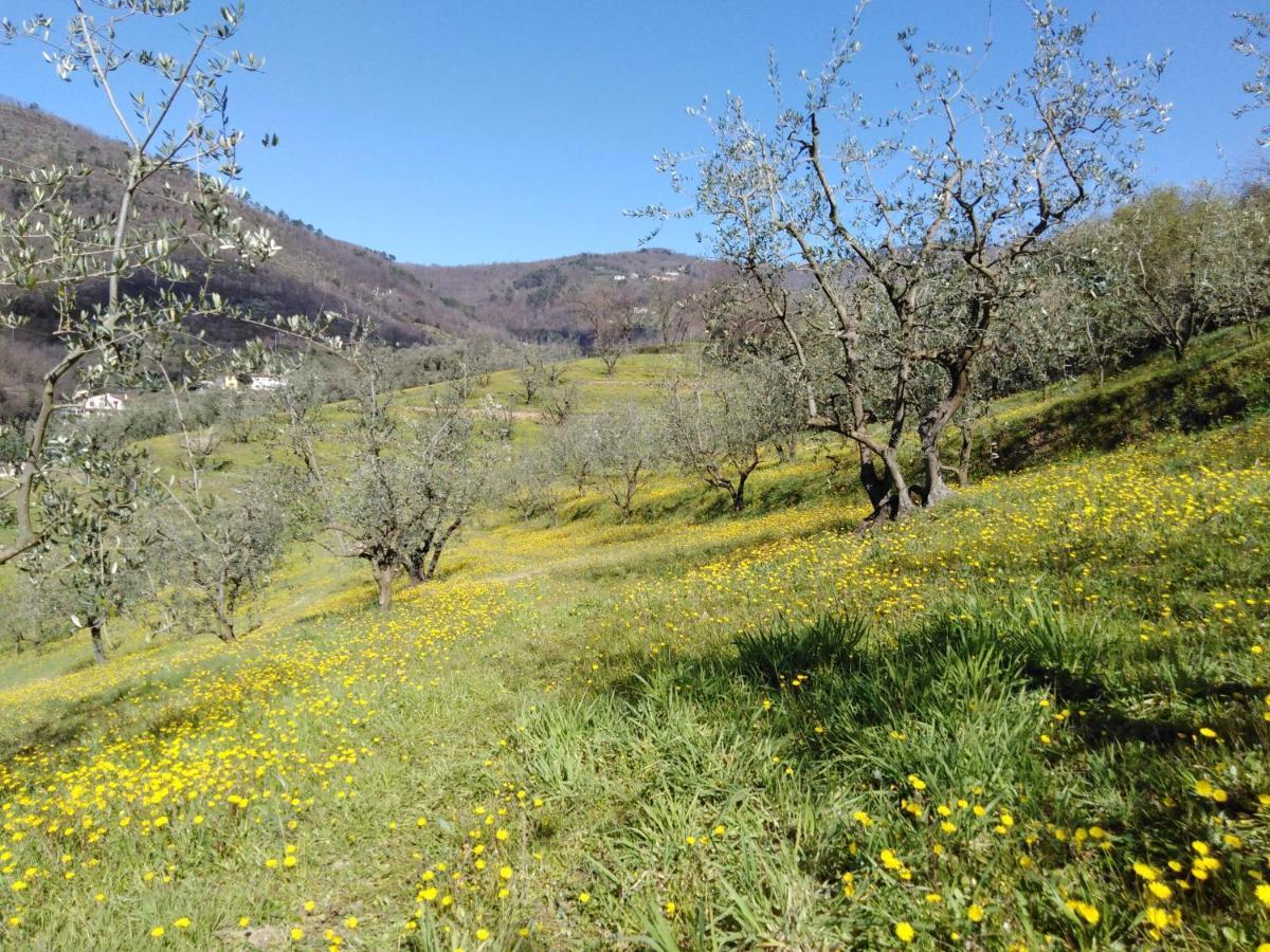 Agriturismo Terrarossa بستويا المظهر الخارجي الصورة