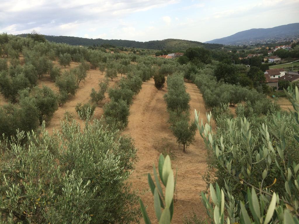 Agriturismo Terrarossa بستويا المظهر الخارجي الصورة